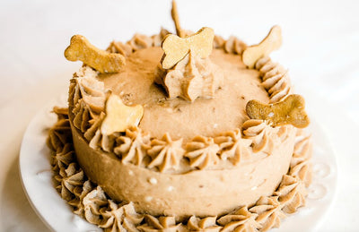 Dog Birthday Cake