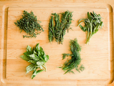 How to Harvest Your Herb Garden